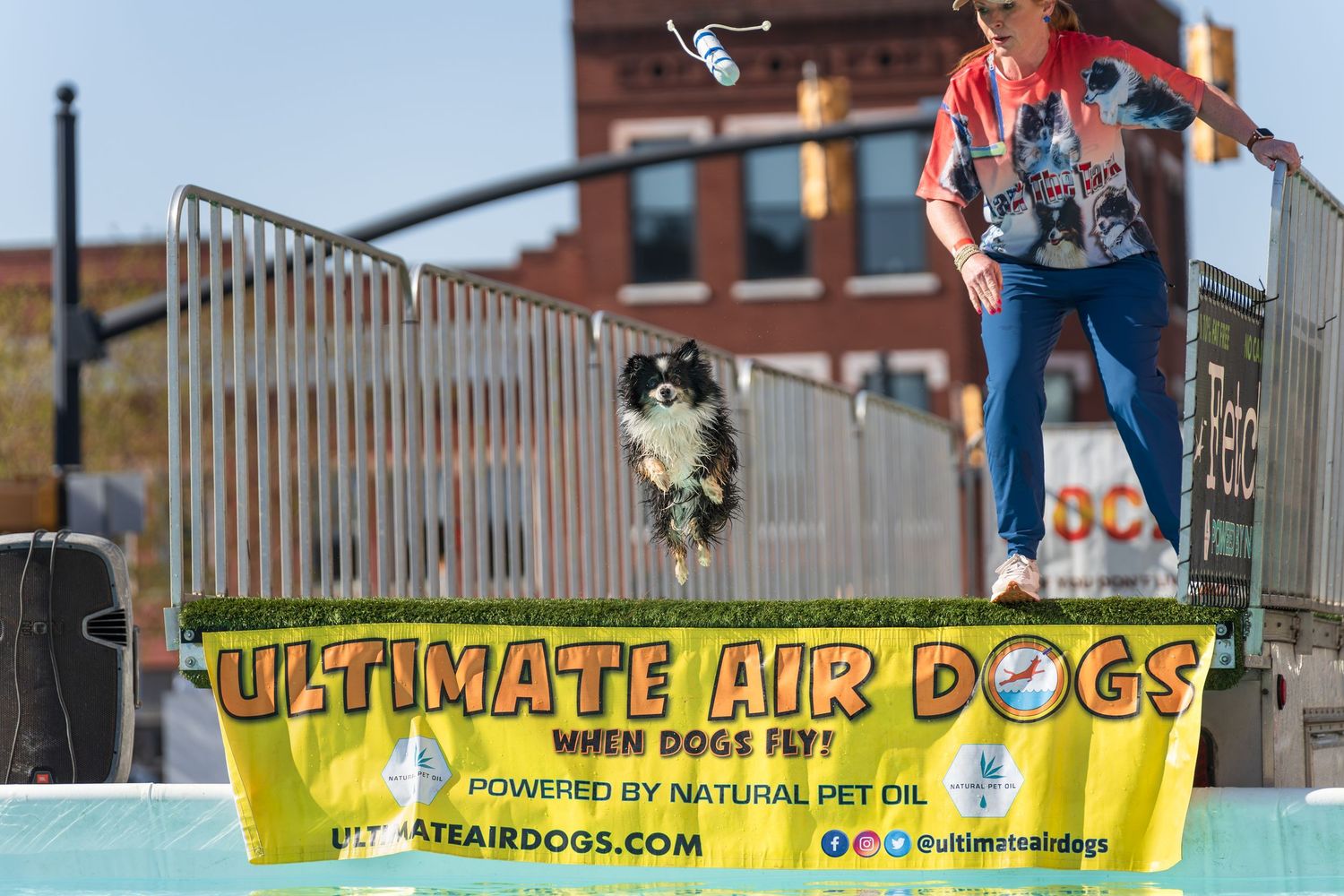 dock diving dog photography- paws for portraits- Georgia dog photographer