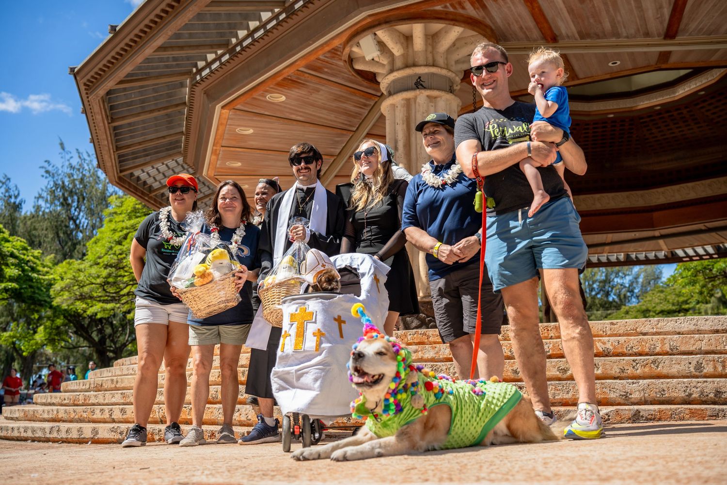Dog photography- Event photography- pet photographer- paws for portraits- Oahu, HI- Pet walk