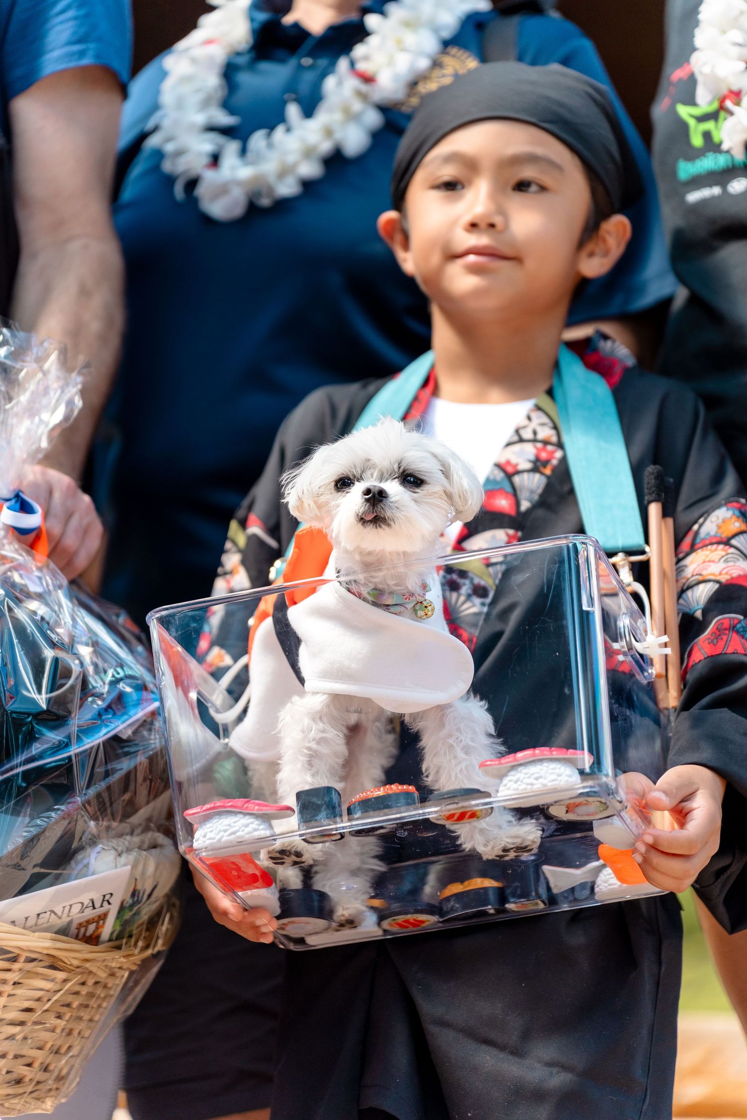Dog photography- Event photography- pet photographer- paws for portraits- Oahu, HI- Pet walk