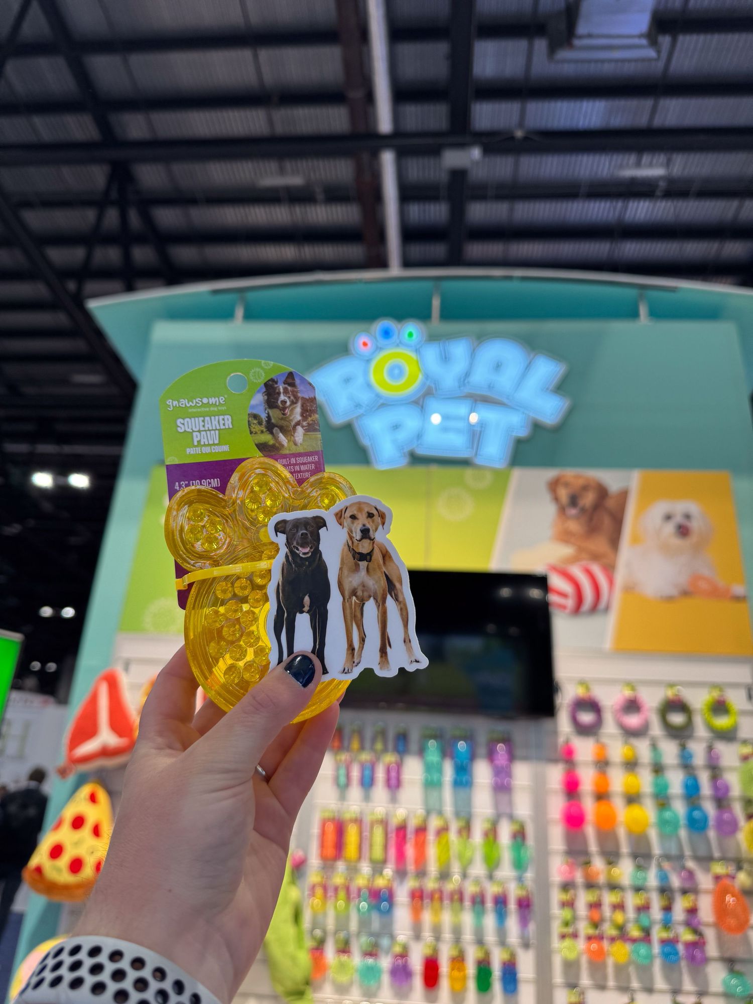 Global Pet expo- Orlando- Paws for Portraits- Dog- pet influencers