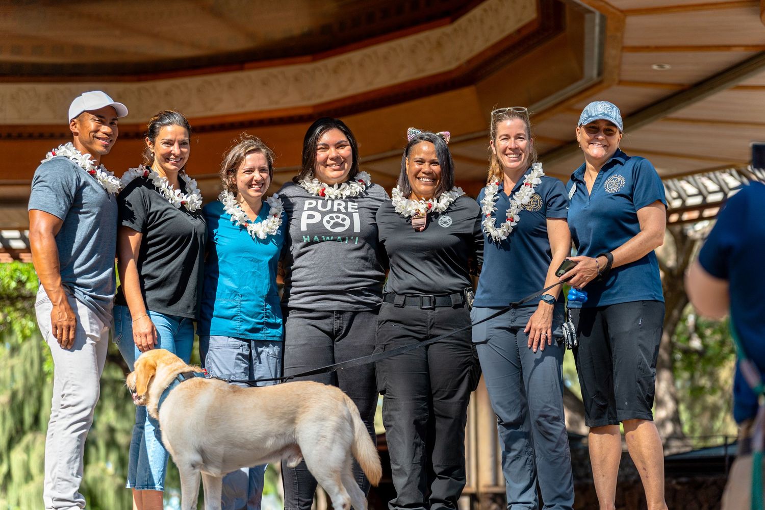Dog photography- Event photography- pet photographer- paws for portraits- Oahu, HI- Pet walk