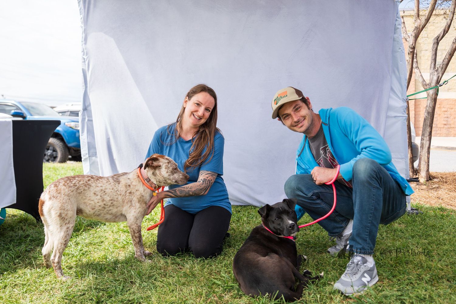 Adopted dog through Pawesome Southern Rescue petsmart adoption event in Warner Robins, GA. Dog photography taken by paws for portraits