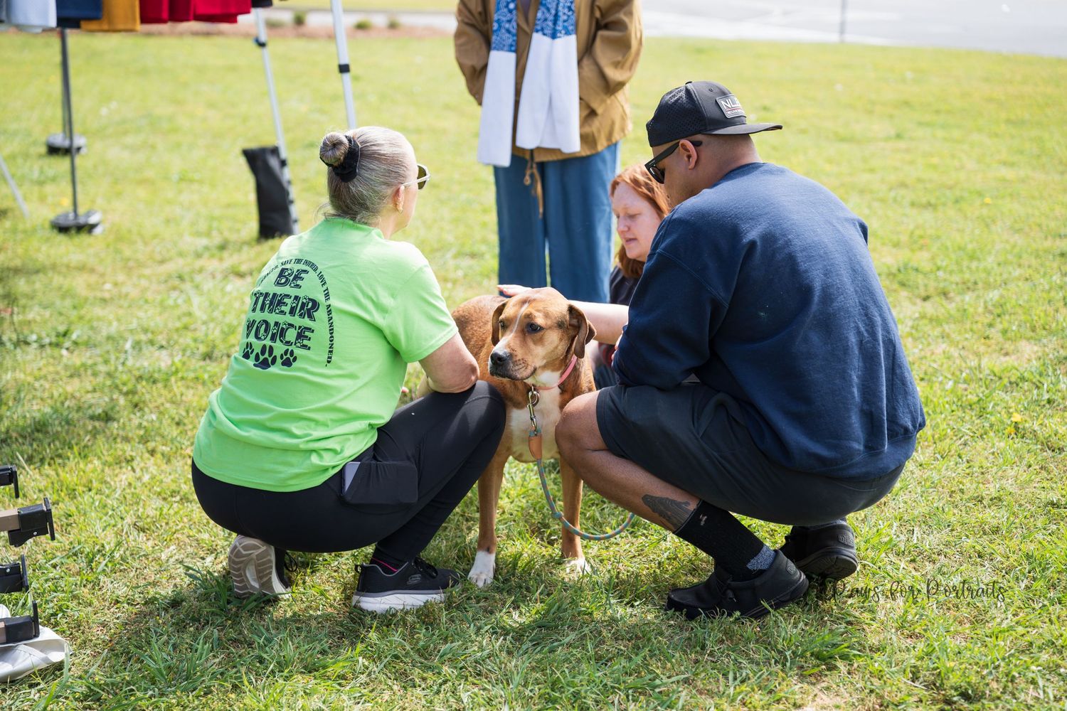 Adopted dog through Pawesome Southern Rescue petsmart adoption event in Warner Robins, GA. Dog photography taken by paws for portraits