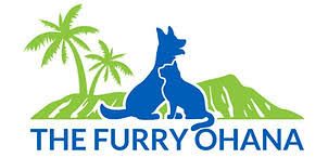 The furry Ohana- Commercial dog photography