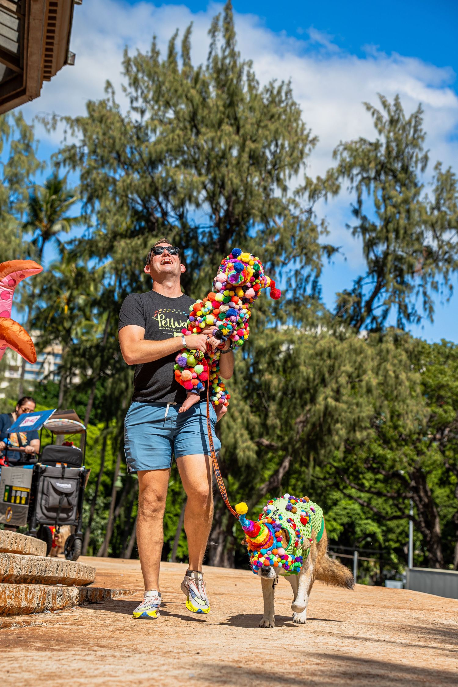 Dog photography- Event photography- pet photographer- paws for portraits- Oahu, HI- Pet walk