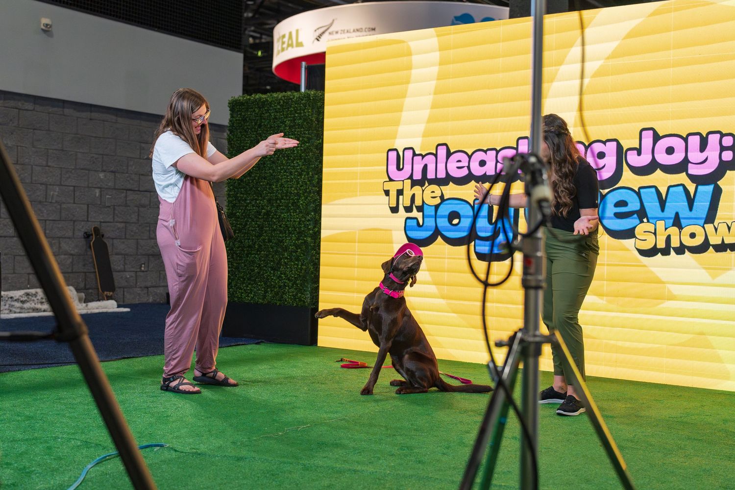 Global Pet expo- Orlando- Paws for Portraits- Dog- pet influencers