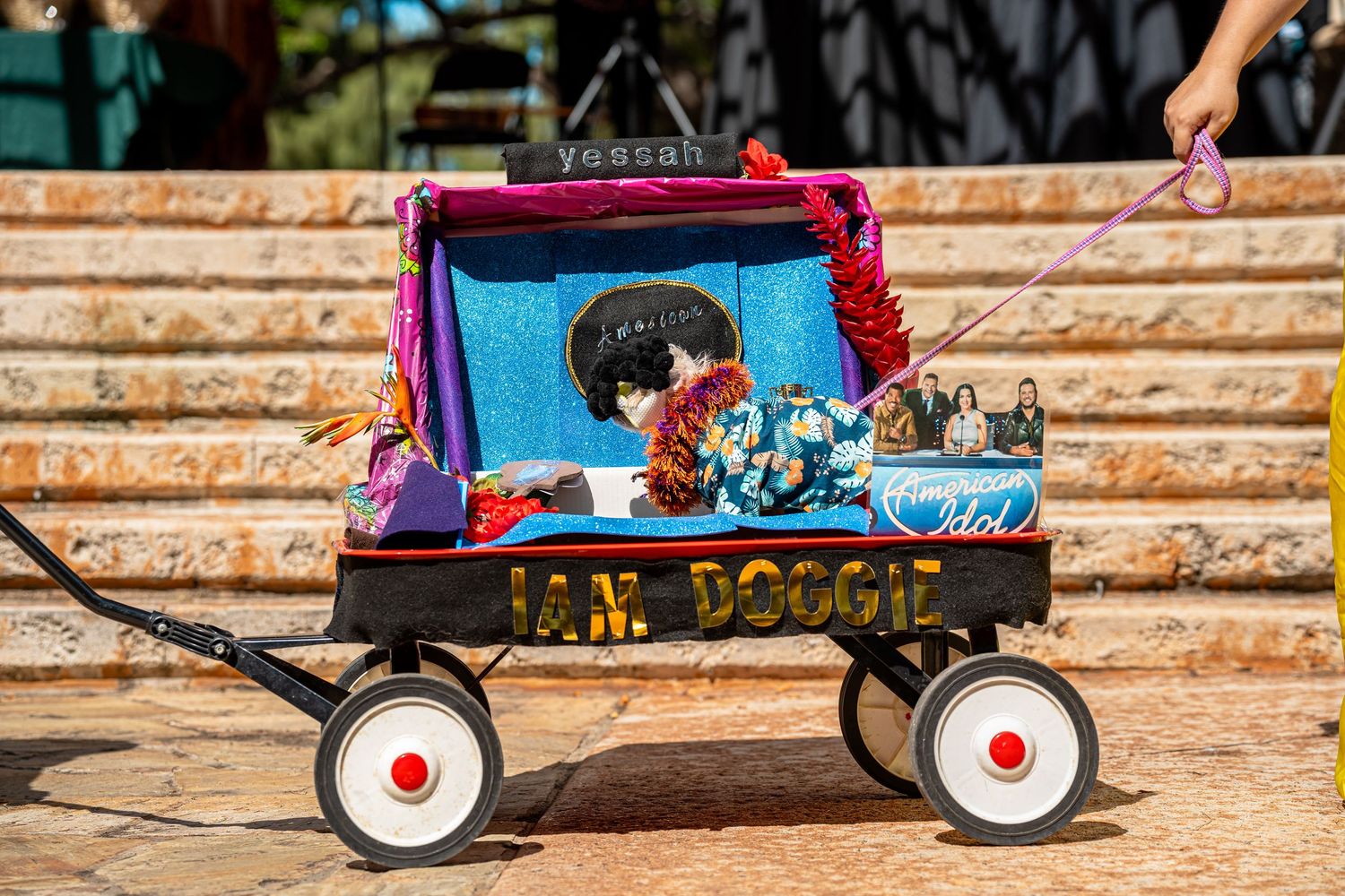 Hawaii humane society pet walk- paws for portraits
