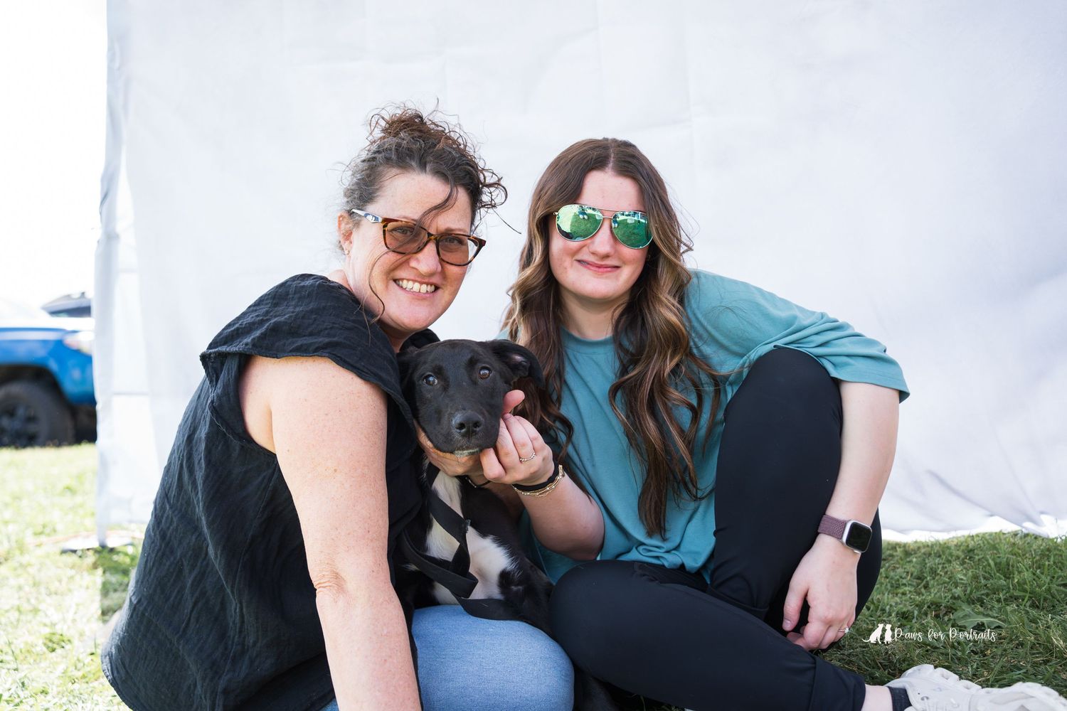 Adopted dog through Pawesome Southern Rescue petsmart adoption event in Warner Robins, GA. Dog photography taken by paws for portraits