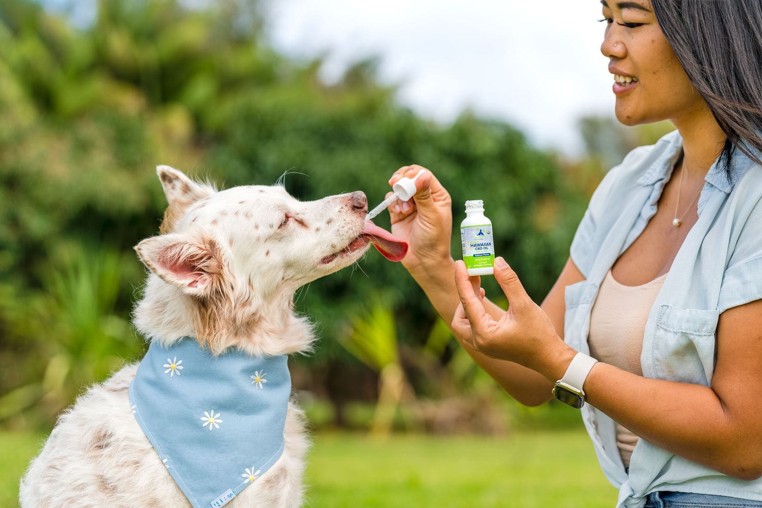 Commercial and small business pet/dog/cat photography- Paws for Portraits- Georgia- Hawaii