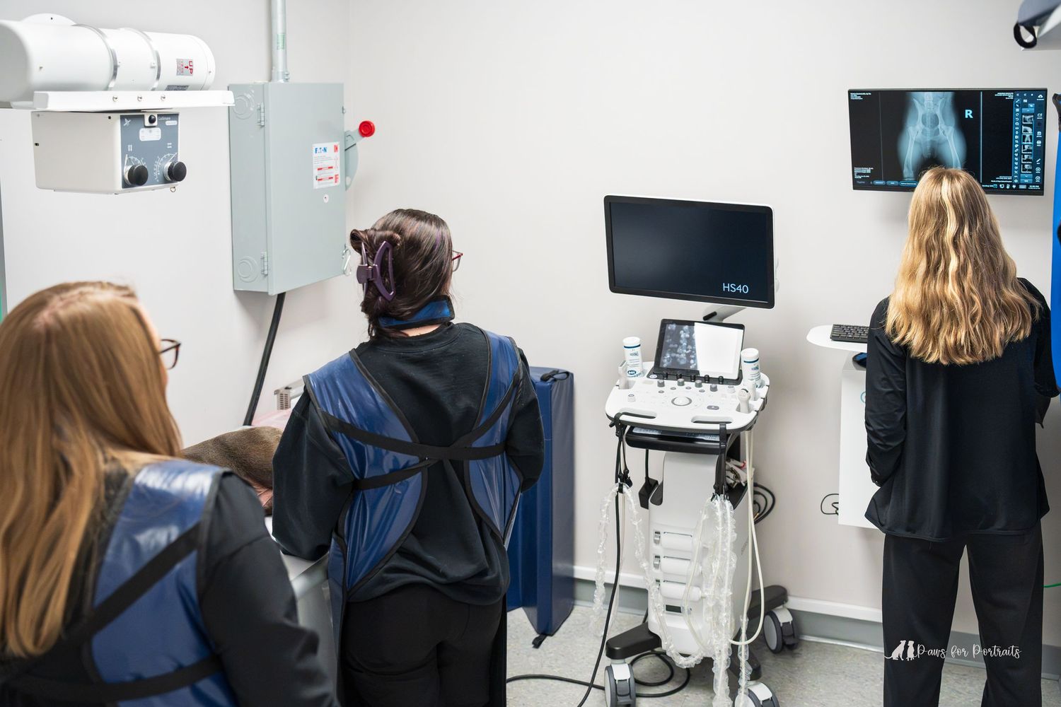commercial and small business photography- vet clinic photography with hands of hope animal hospital Warner robins Georgia