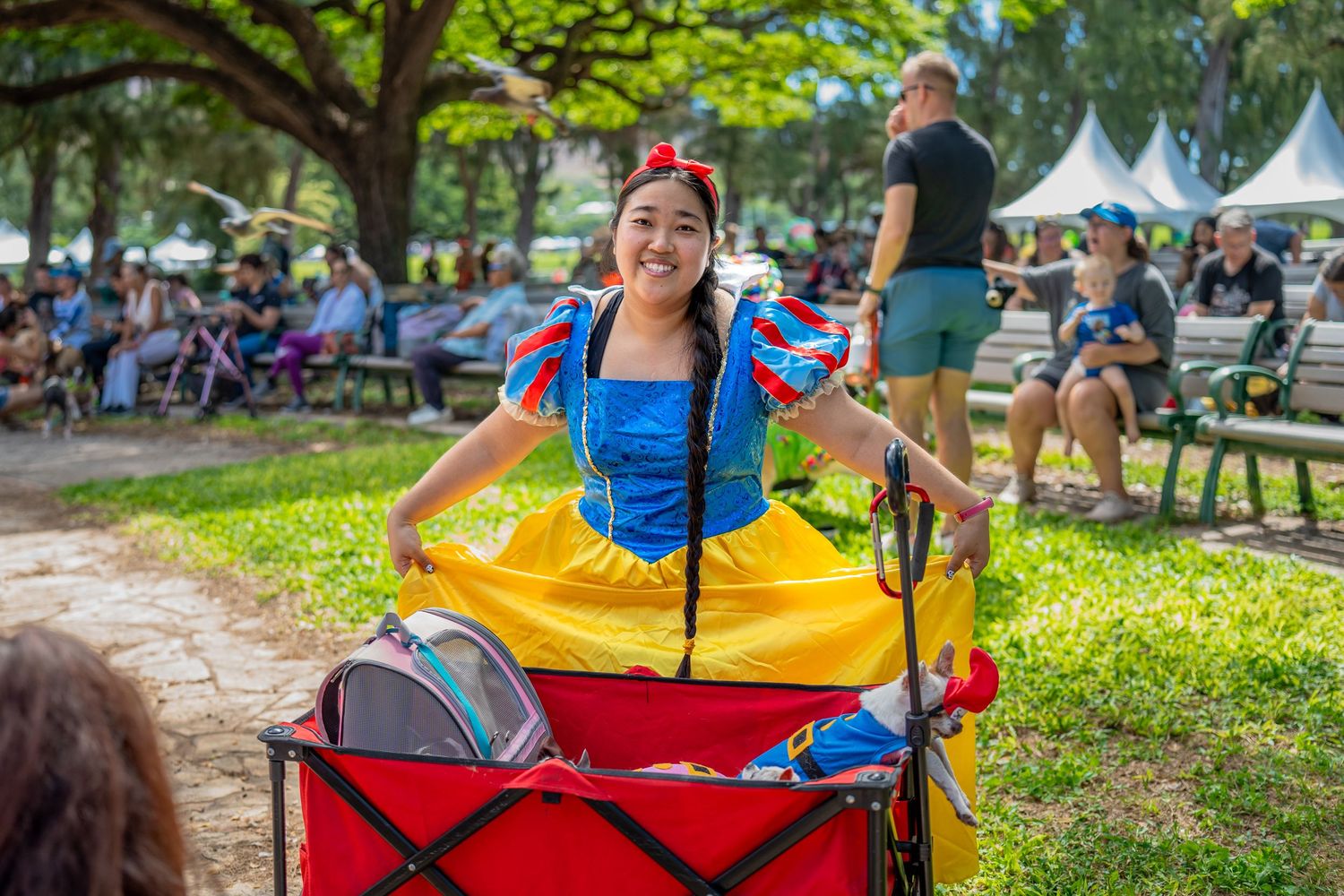 Hawaii humane society pet walk- paws for portraits