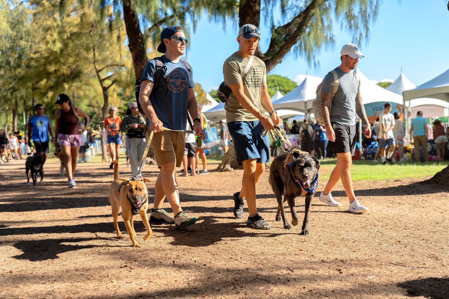 Hawaii humane society pet walk- paws for portraits