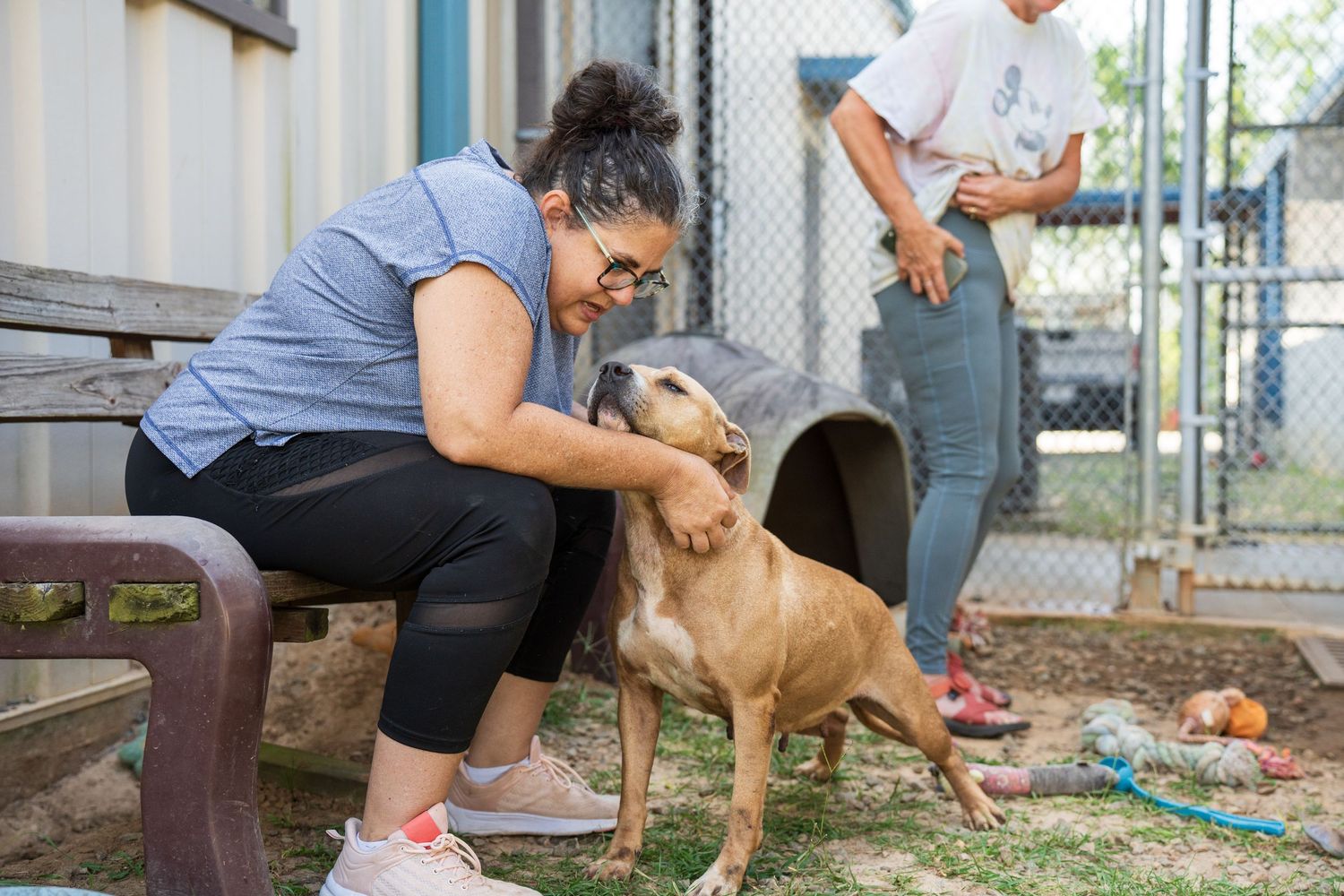 Mix breed at the shelter- Warner Robins Animal Control