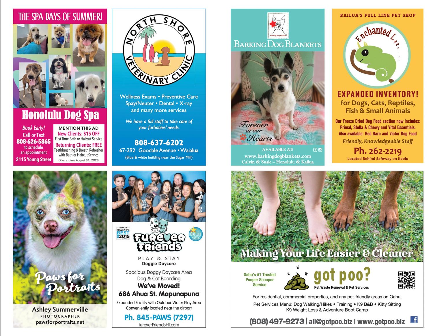 Rescue dog photoshoot- paws for portraits