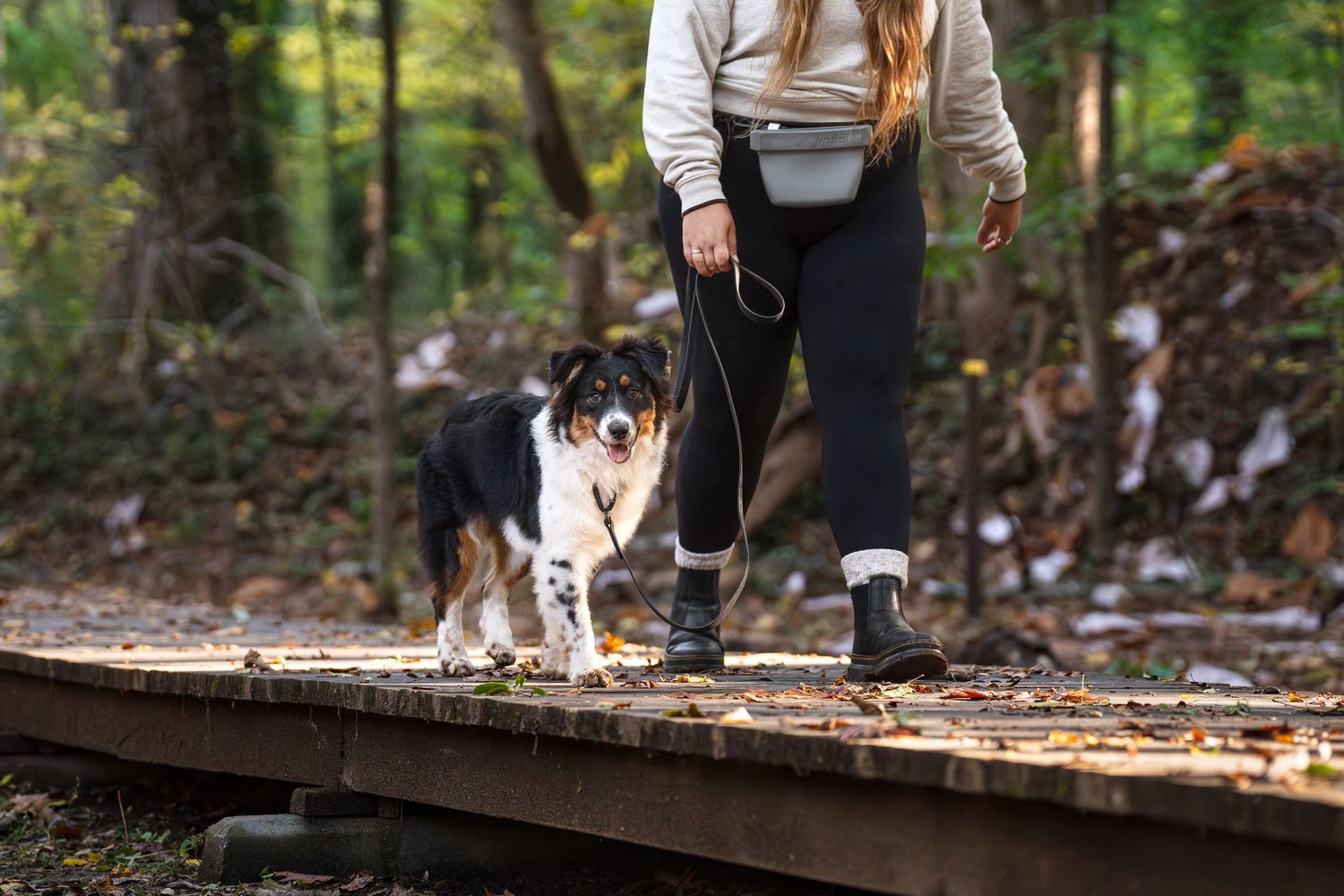Bolder K9 product photoshoot with a fluffy Aussie on a hike with a female on a bridge in Atlanta