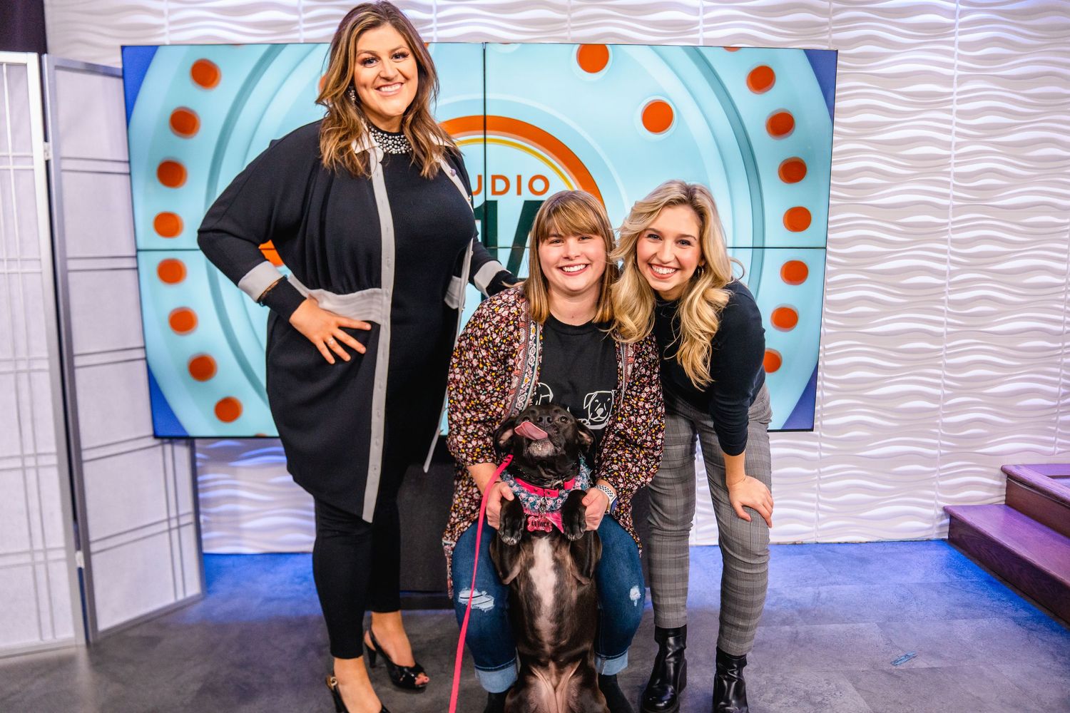 Paws for Portraits on WTAJ