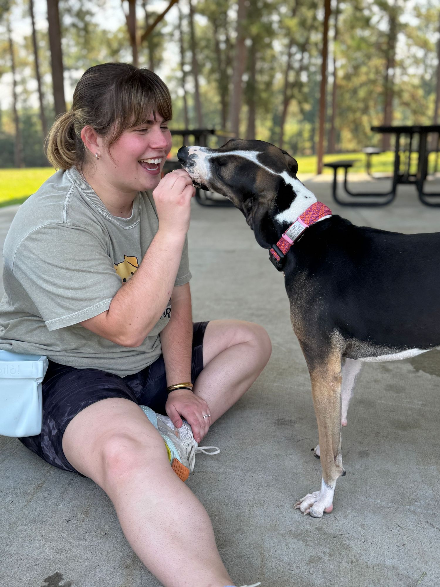 Rescue dog in Georgia gets a yummy treat at Razor park in Perry.