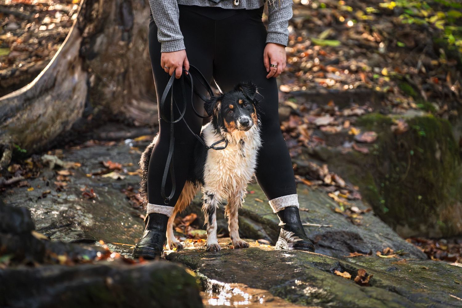 Bolder K9 product photoshoot with a fluffy Aussie by a rive with the dog between the owners legs