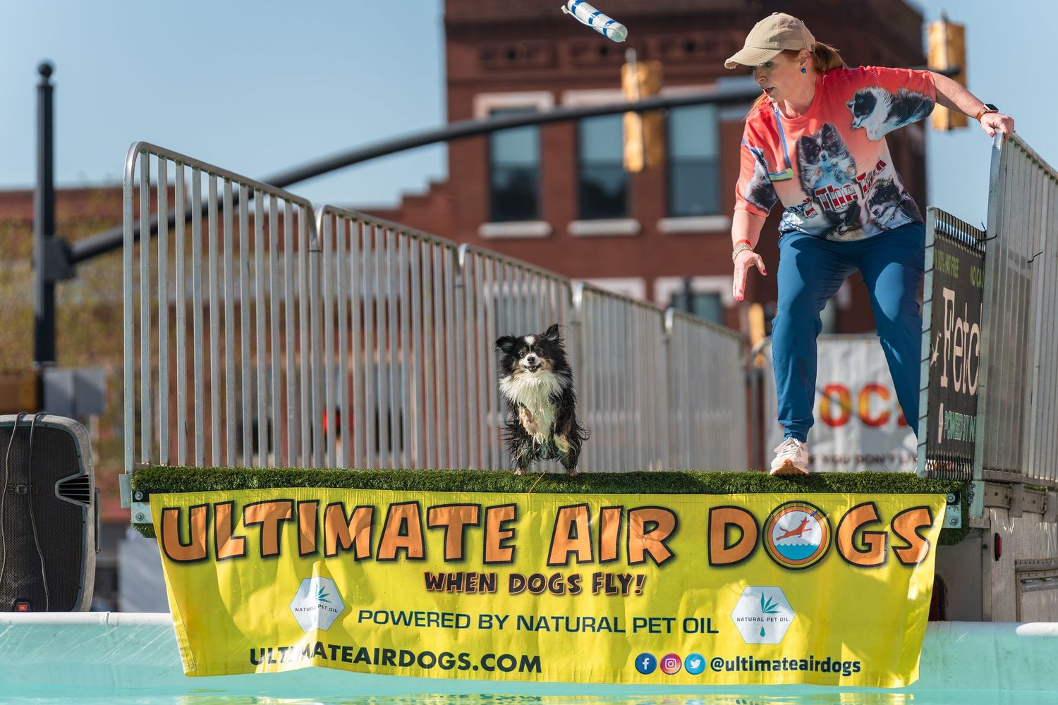 Dock diving- Paws for Portraits- cherry blossom festival Macon