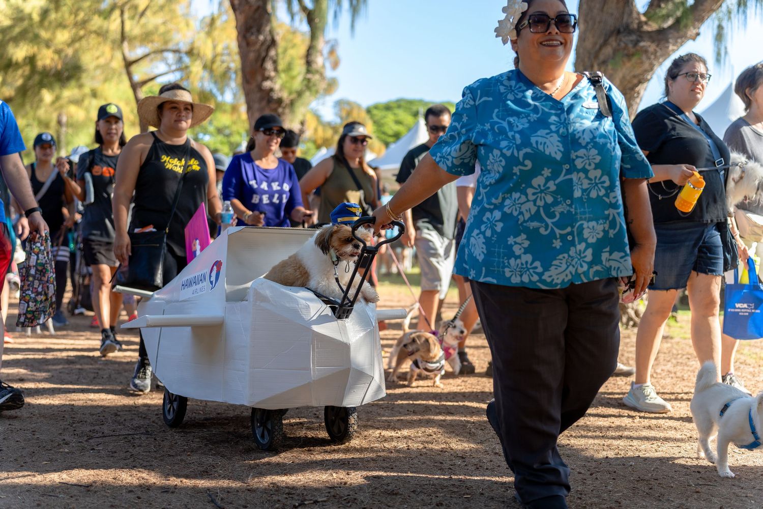 Hawaii humane society pet walk- paws for portraits