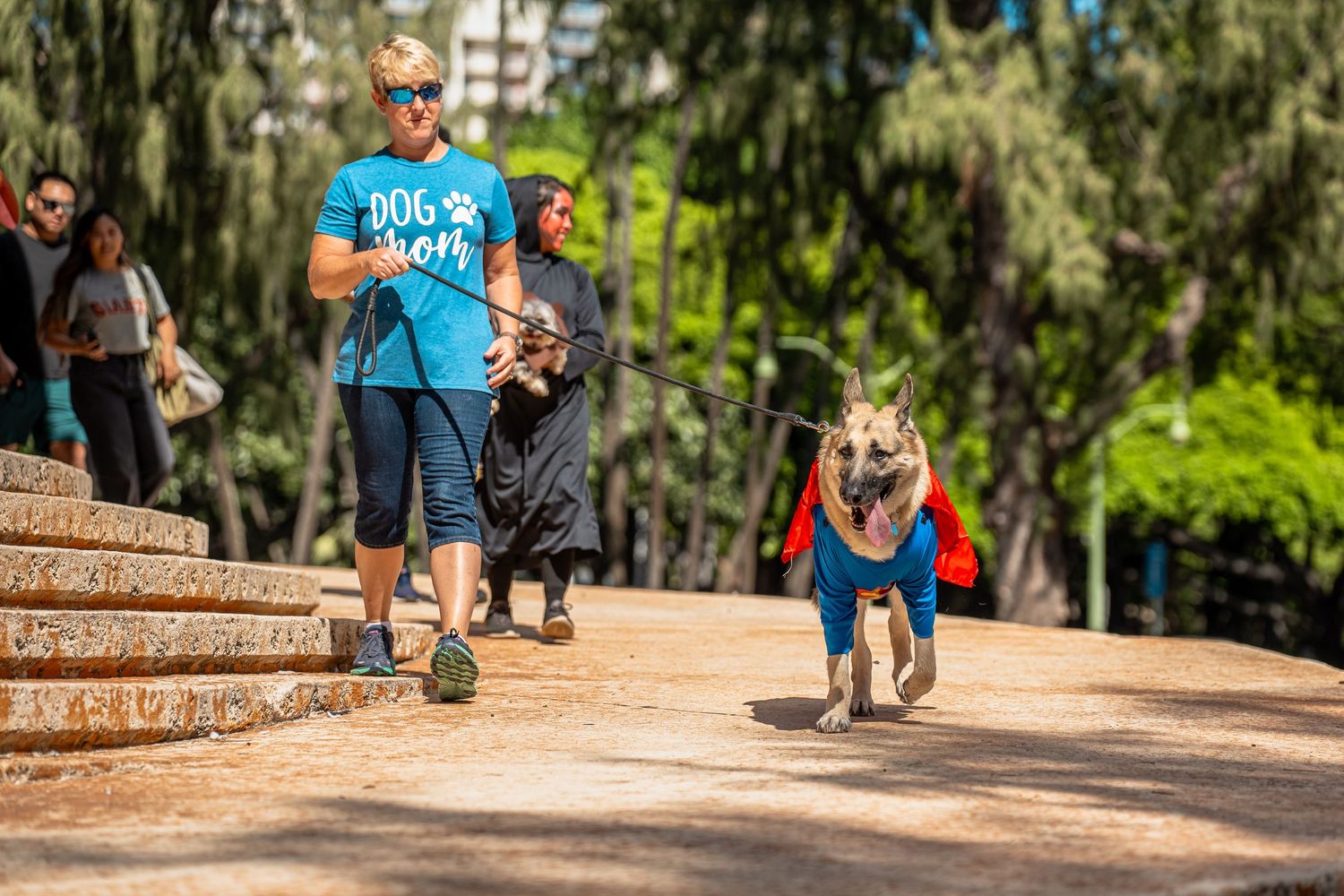 Dog photography- Event photography- pet photographer- paws for portraits