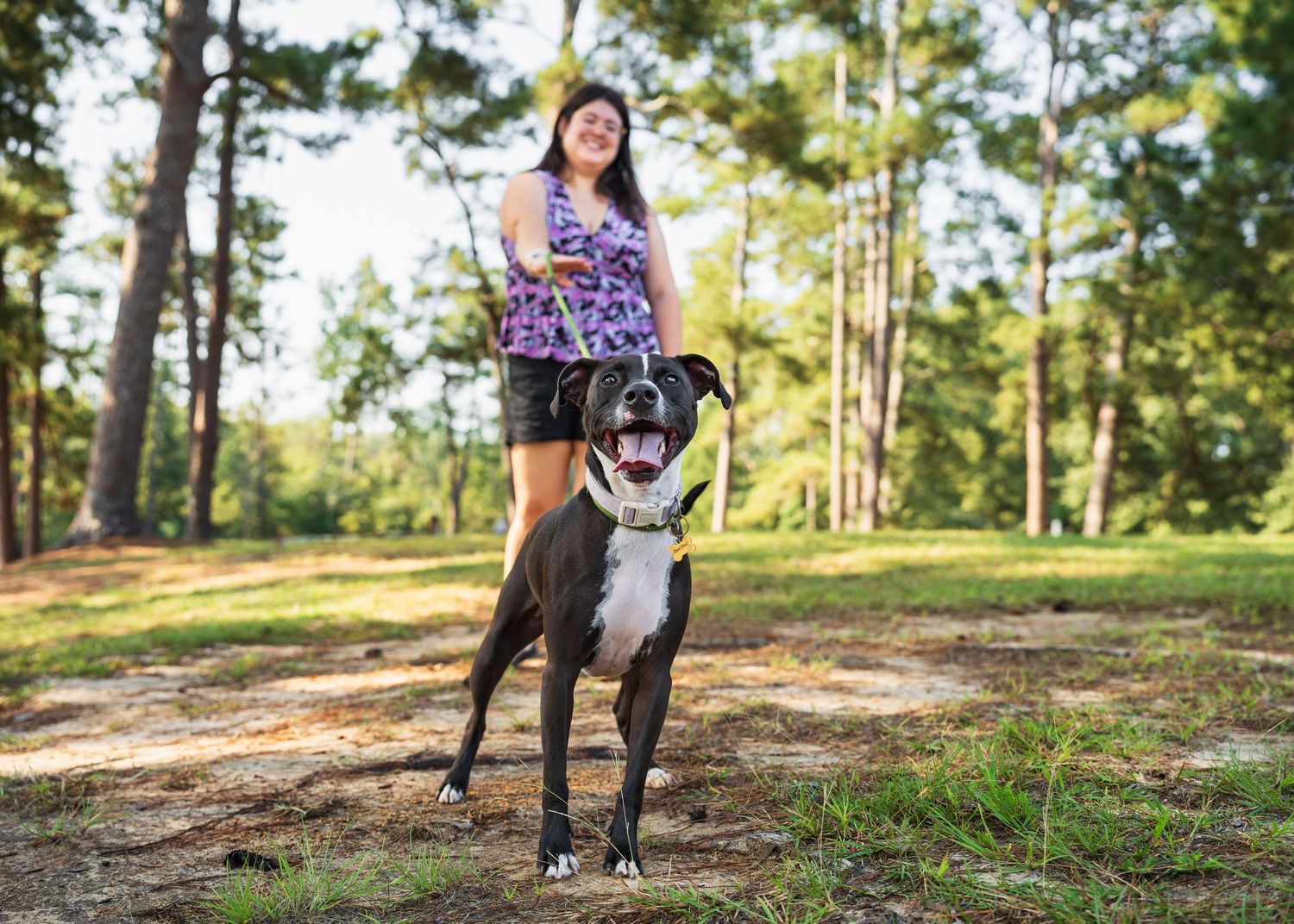 Mix breed dog with owner at a park in Perry, GA