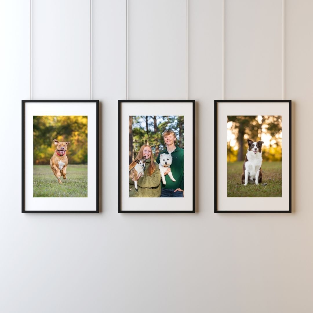Fine art dog photography wall art- Paws for Portraits warner robins GA