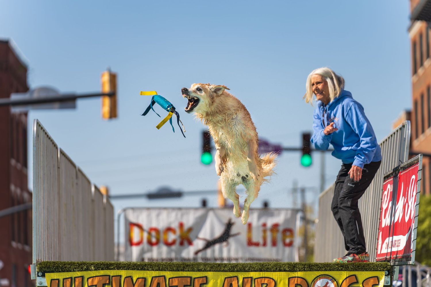 dog Dock diving- cherry blossom festival Macon