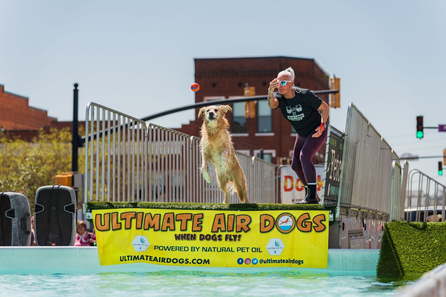 dock diving dog photography- paws for portraits- Georgia dog photographer
