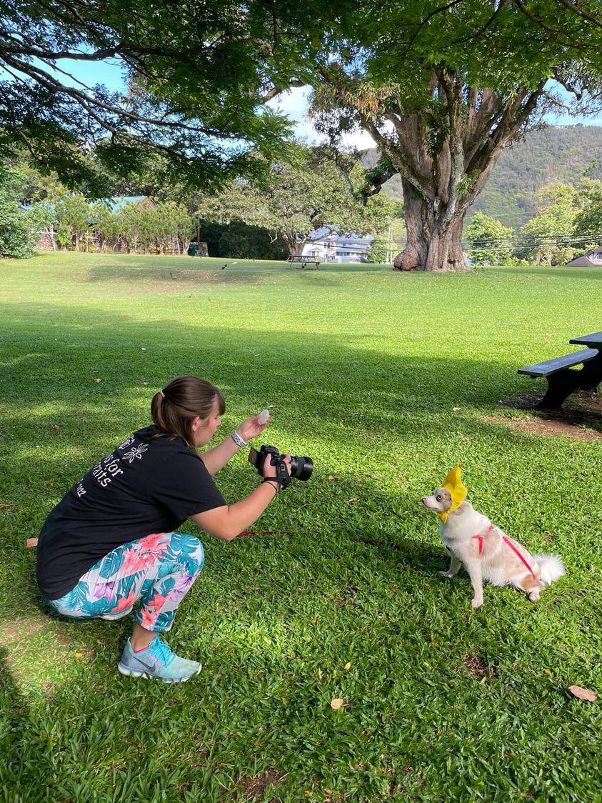 behind the scene image of a photoshoot with a white fluffy dog in hawaii