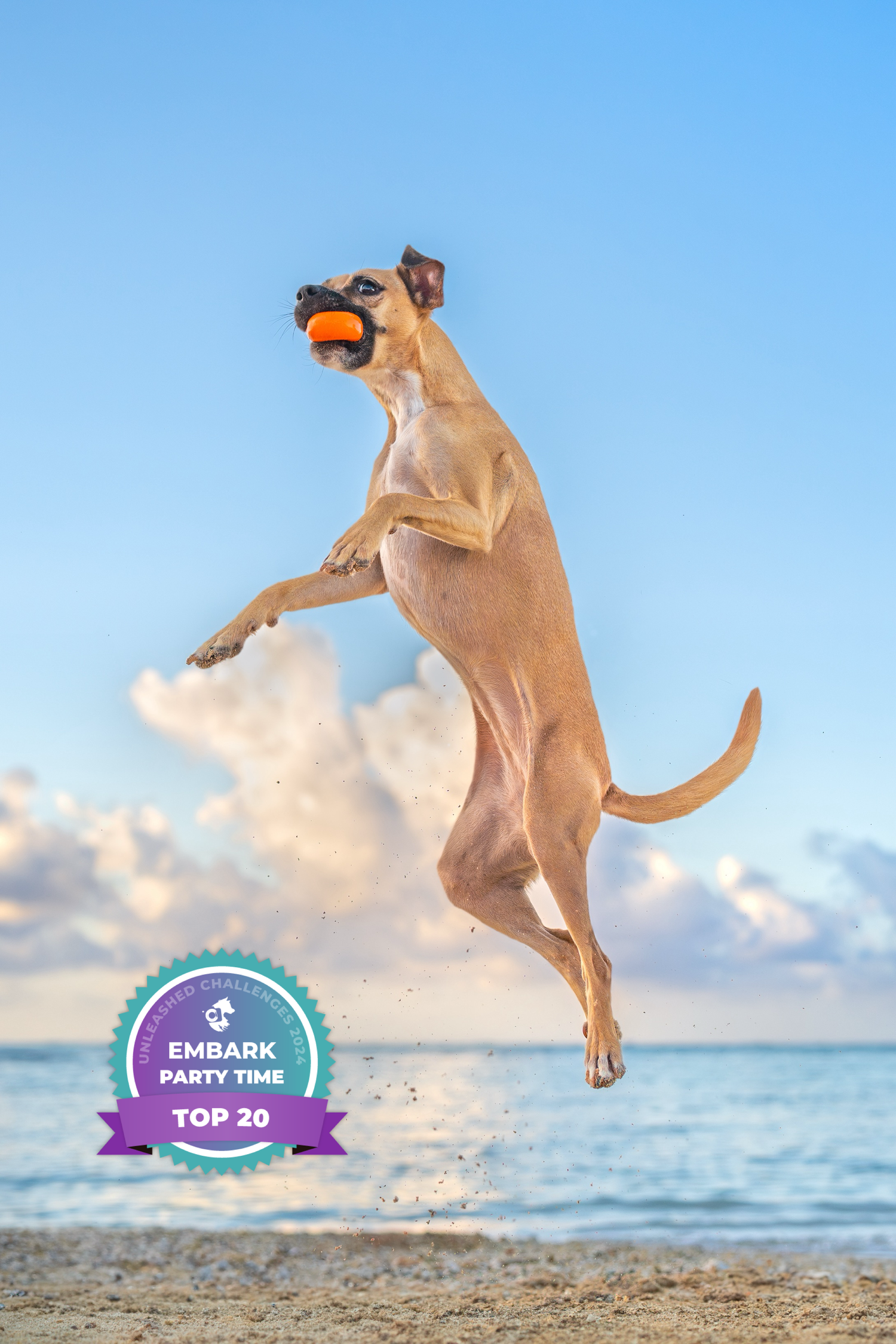 Embark- unleashed education winner- Party Time