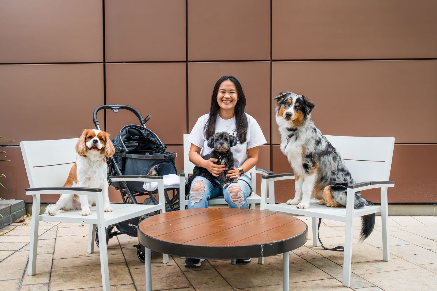 Commercial and small business pet/dog/cat photography- Paws for Portraits- Georgia- Hawaii