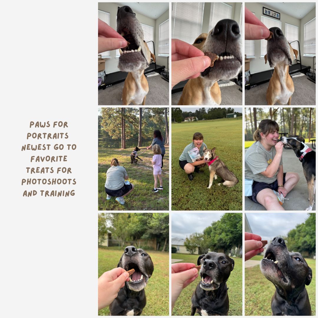 dogs showing off their love for dogs treats.