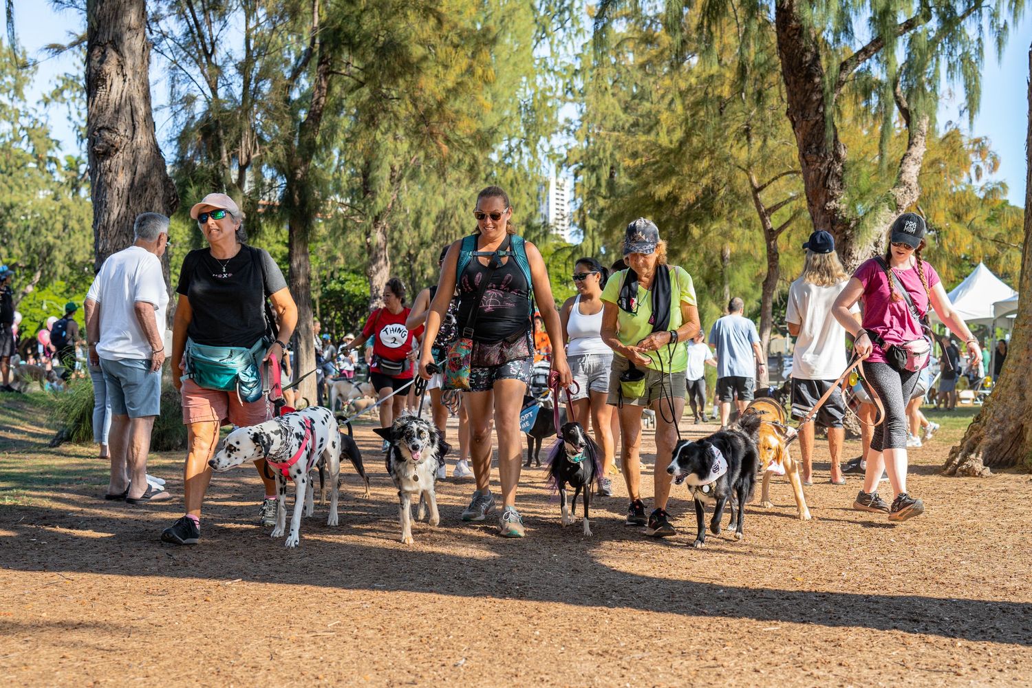 Hawaii humane society pet walk- paws for portraits