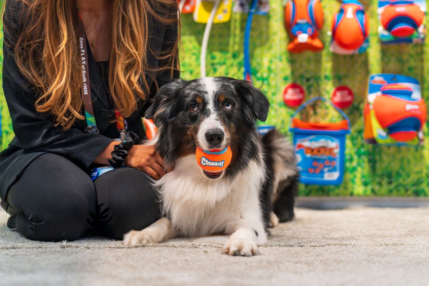 Embracing echo dog holding a chuck it ball in mouth at global pet expo