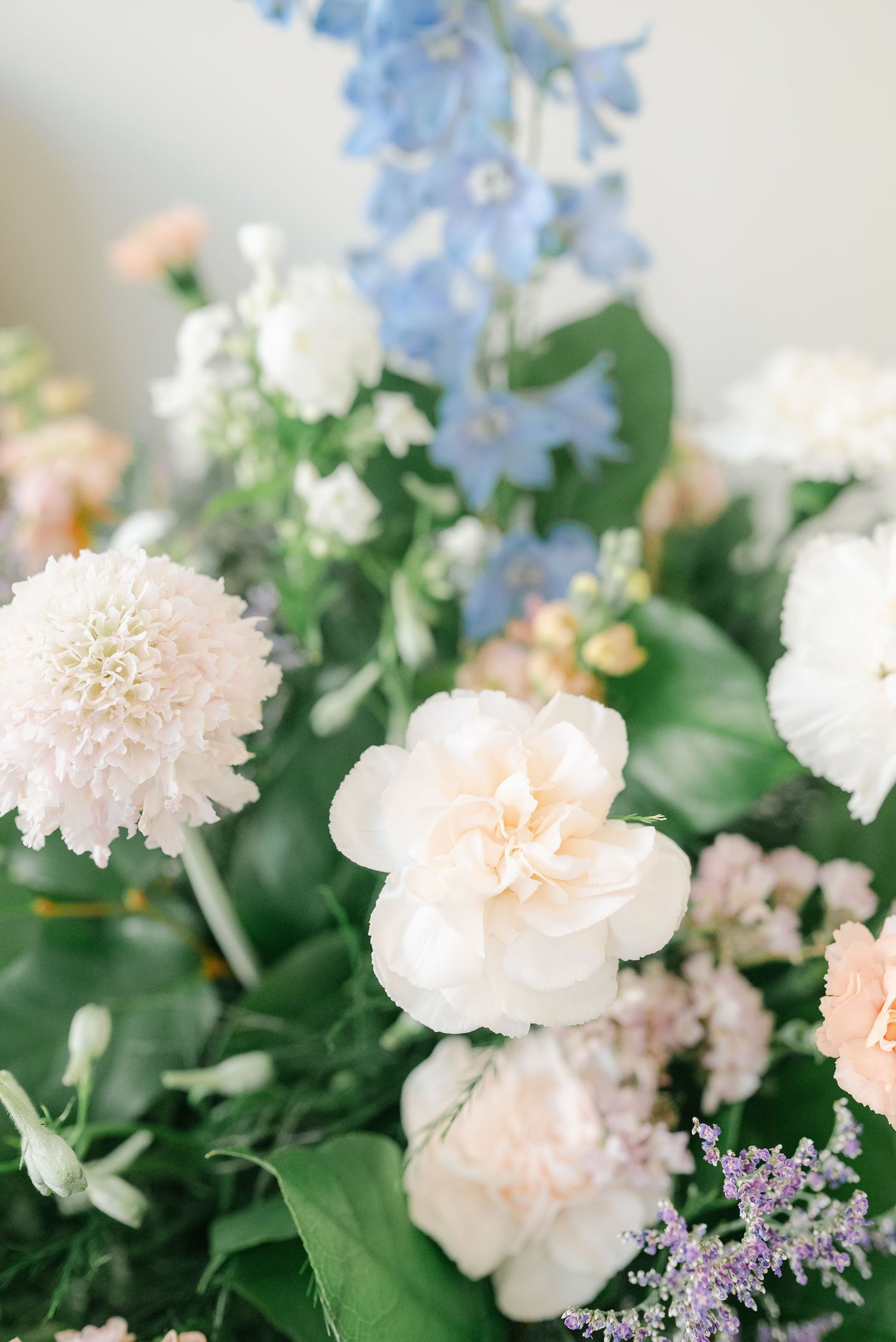 Soft pastel floral arrangement with delicate white and peach carnations alongside blue delphiniums and green foliage.