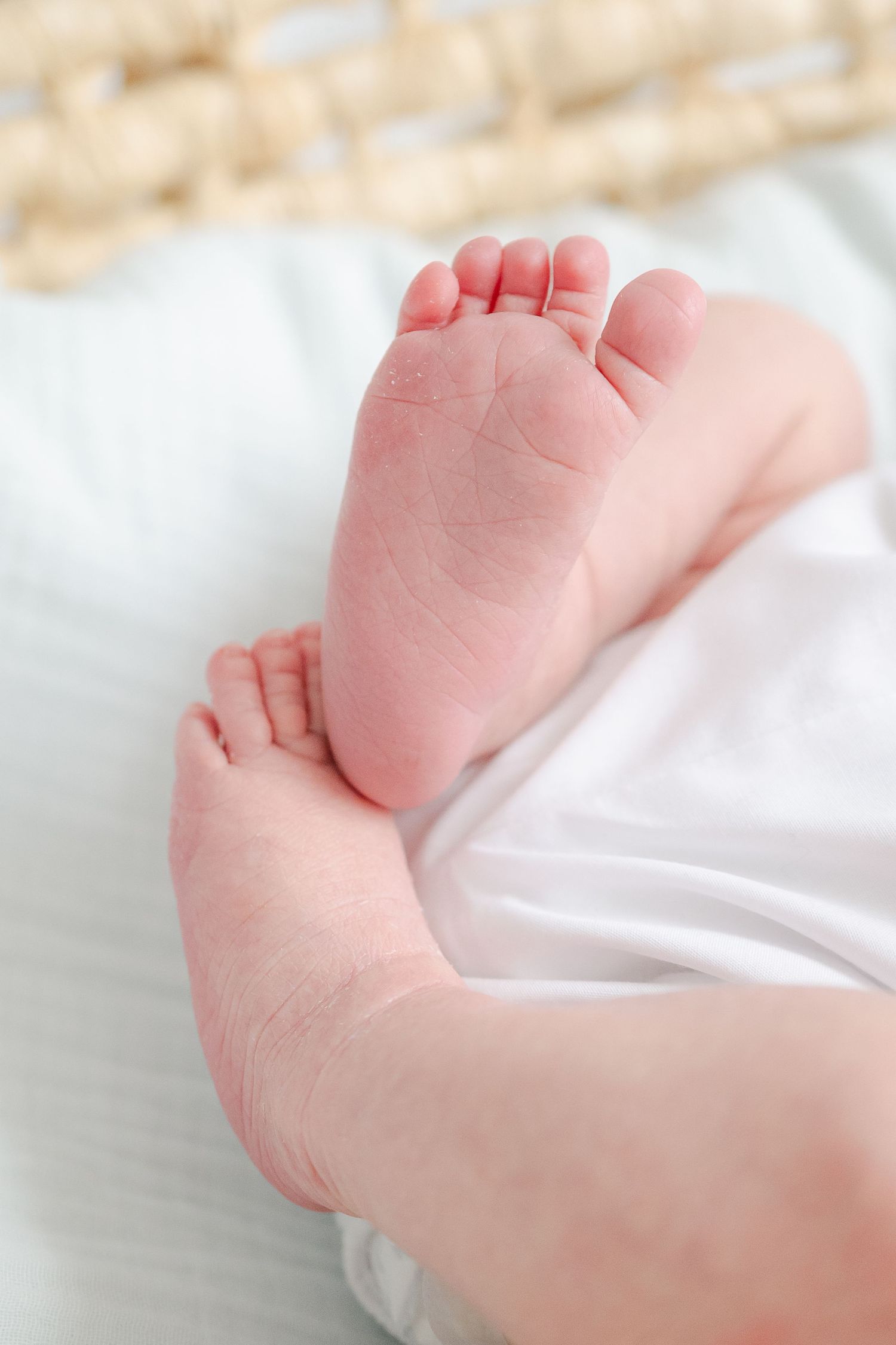 Close-up of tiny newborn baby feet against white fabric background.