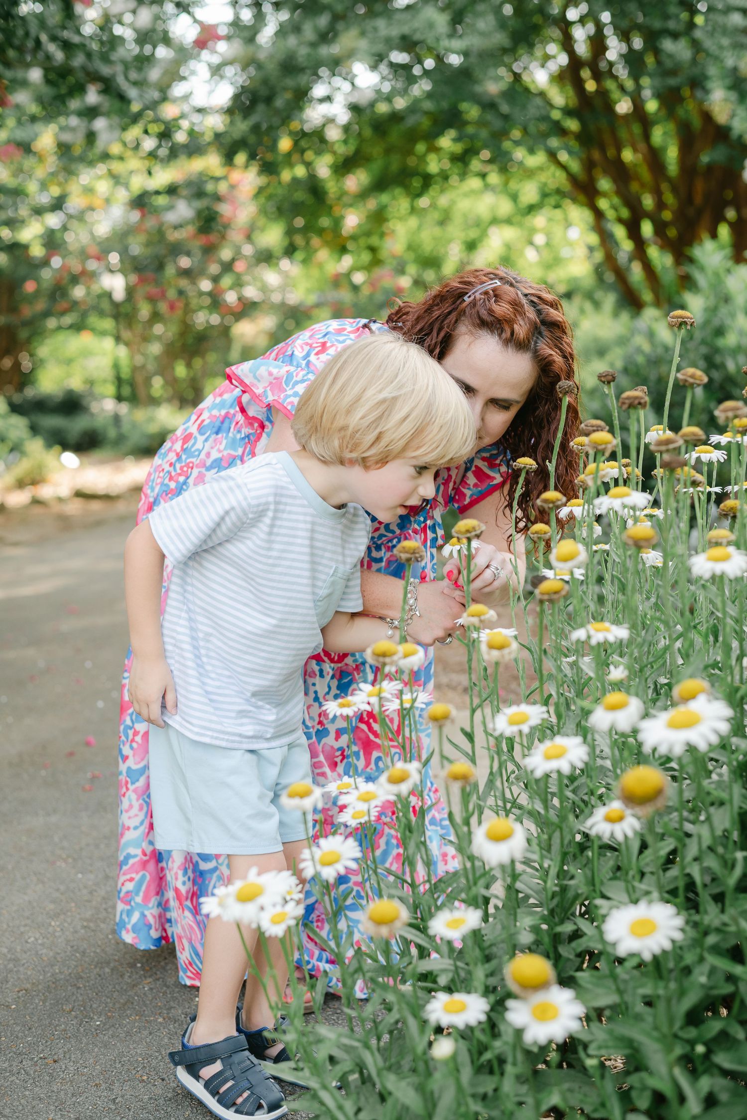 Intimate family moment captured among blooming daisies in garden setting.