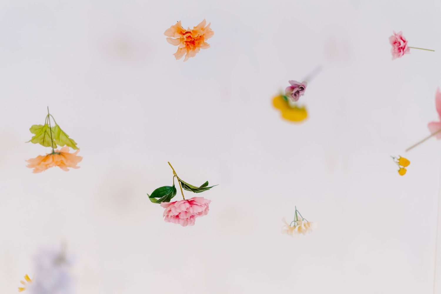 Delicate colorful dried or pressed flowers scattered across a bright white background create an ethereal composition.