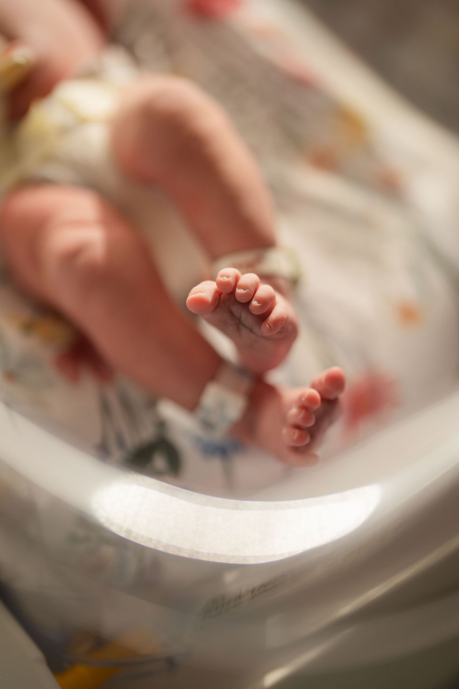 Close-up sequence of tiny baby feet being pressed into plaster or clay to create an imprint keepsake.