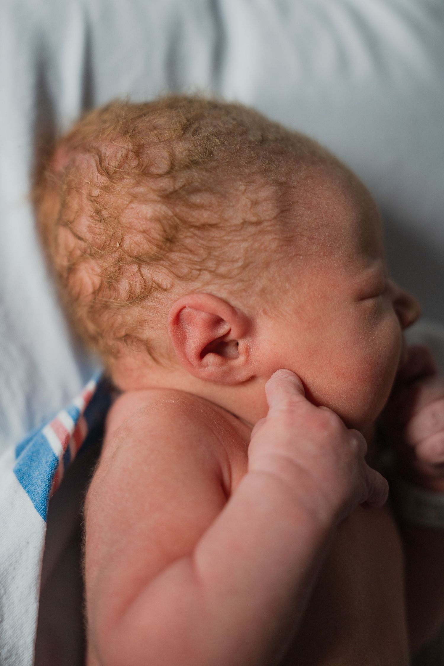 Close-up view of a newborn baby's head with curly blonde hair resting against a light-colored backdrop.