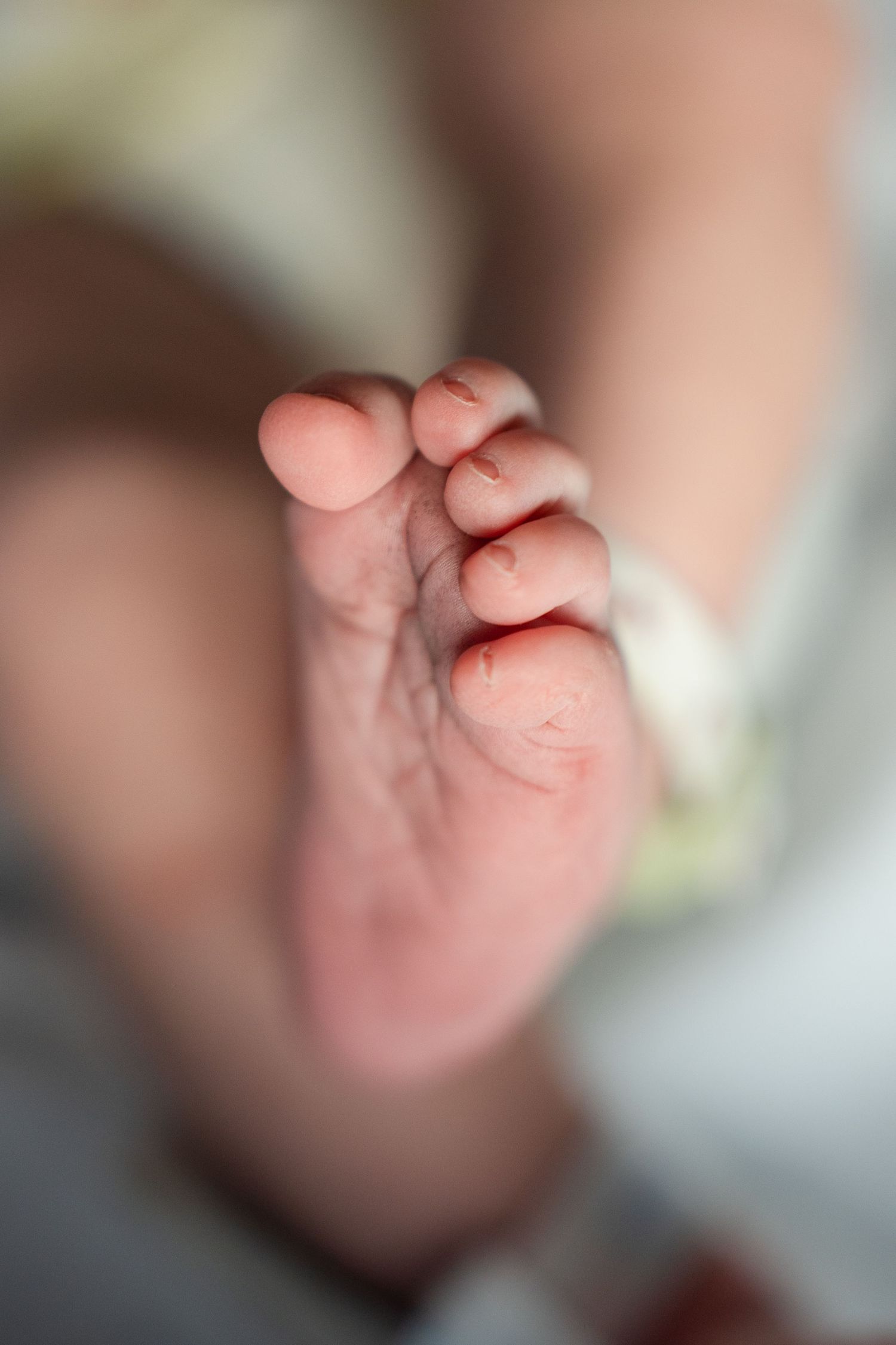 Close-up sequence showing tiny baby fingers and toes in soft focus with blurred background.