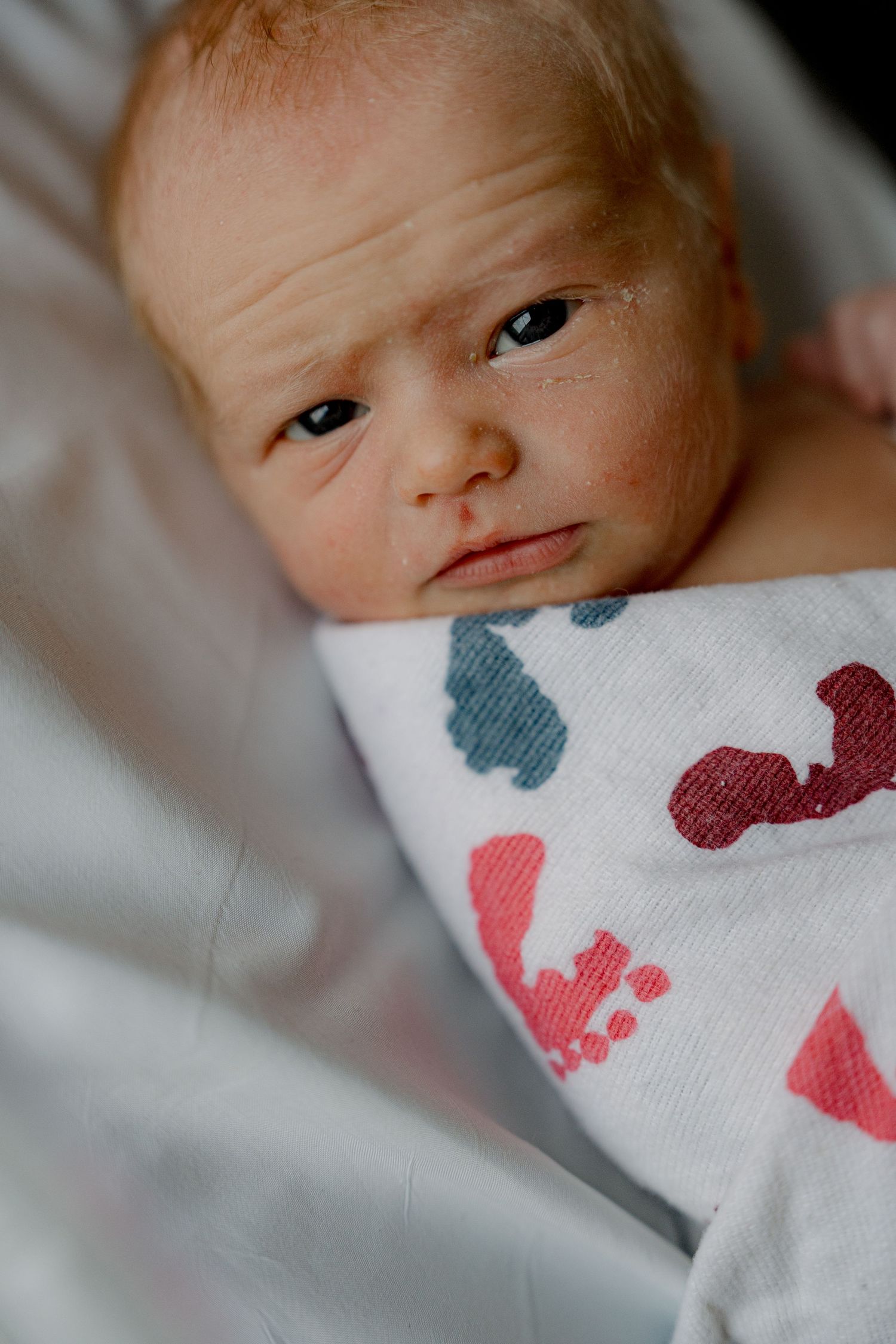 A newborn baby rests on soft white fabric with colorful elephant print blanket.