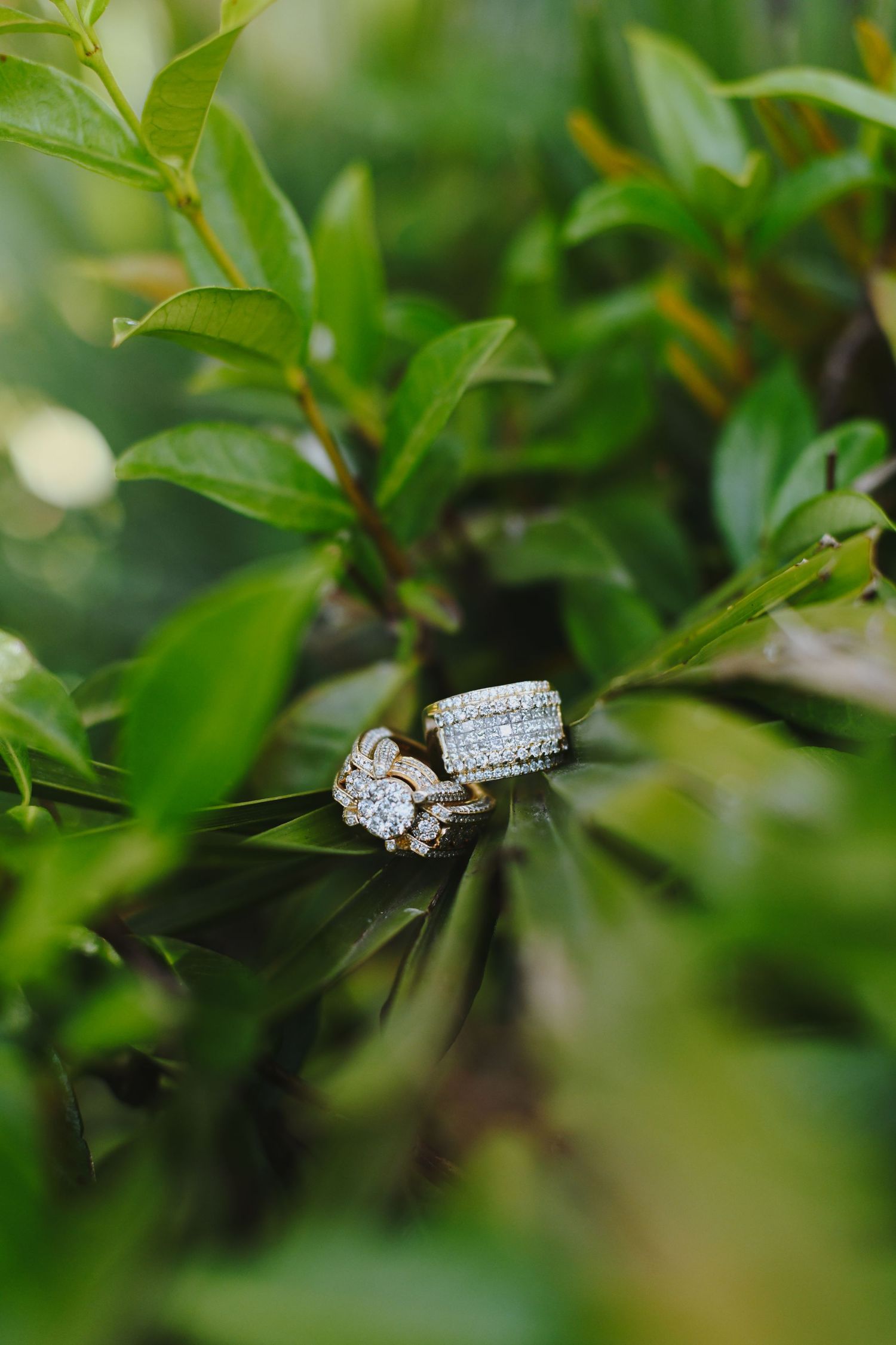 Diamond engagement ring and wedding band nestled among green leaves in natural lighting.