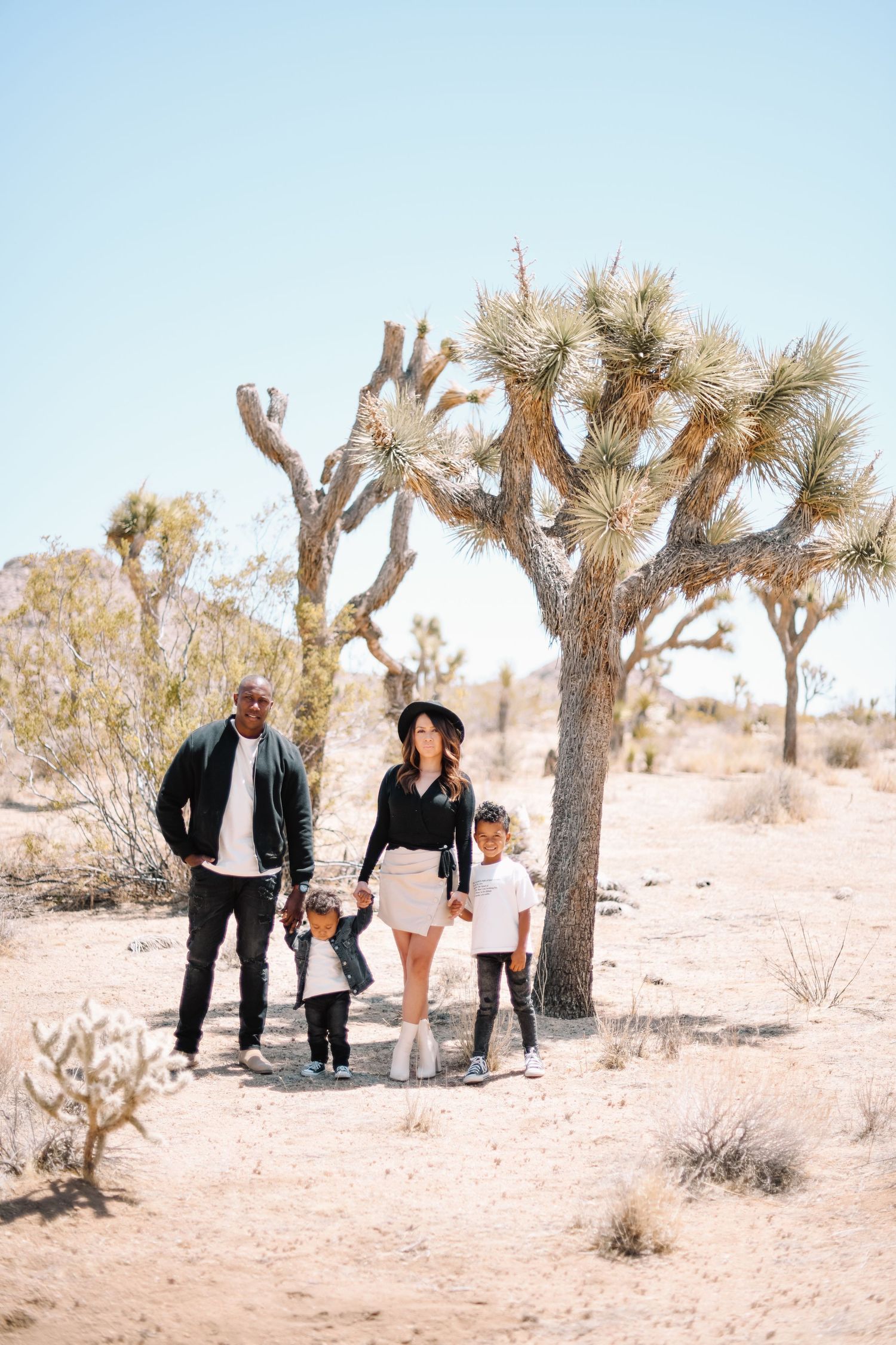 Desert landscape photo with Joshua trees and natural scenery.