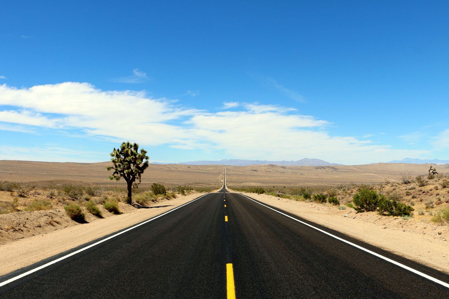 Symmetrical desert road