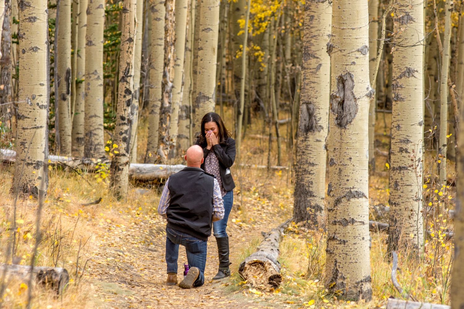 Kenosha Pass in the fall with a man down on one knee for his surprise marriage proposal in Colorado.