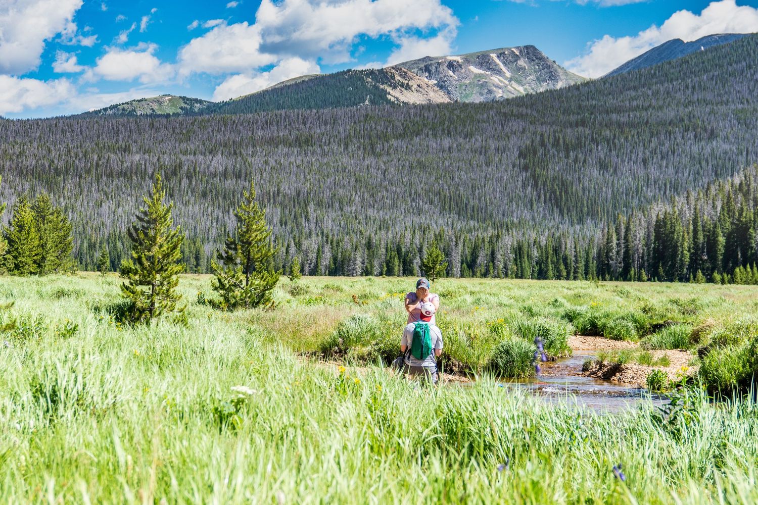 Summer marriage proposal photographed on along the Big Meadows Trail in Rocky Mountain National Park in Colorado  (RMNP)