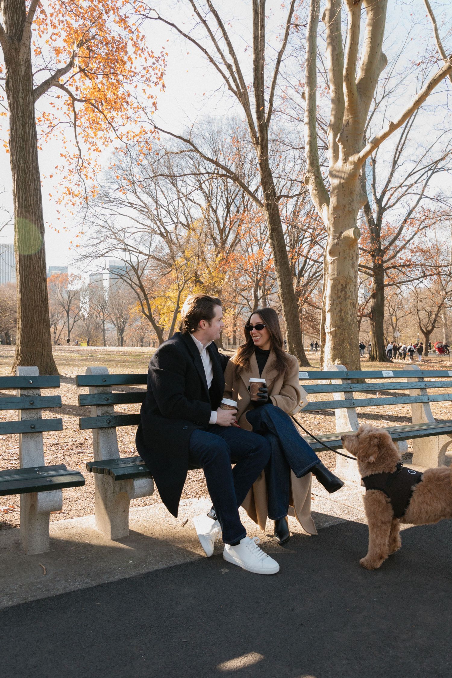 Three images of a couple sitting on a blue bench in a park on a fall day with their dog.
