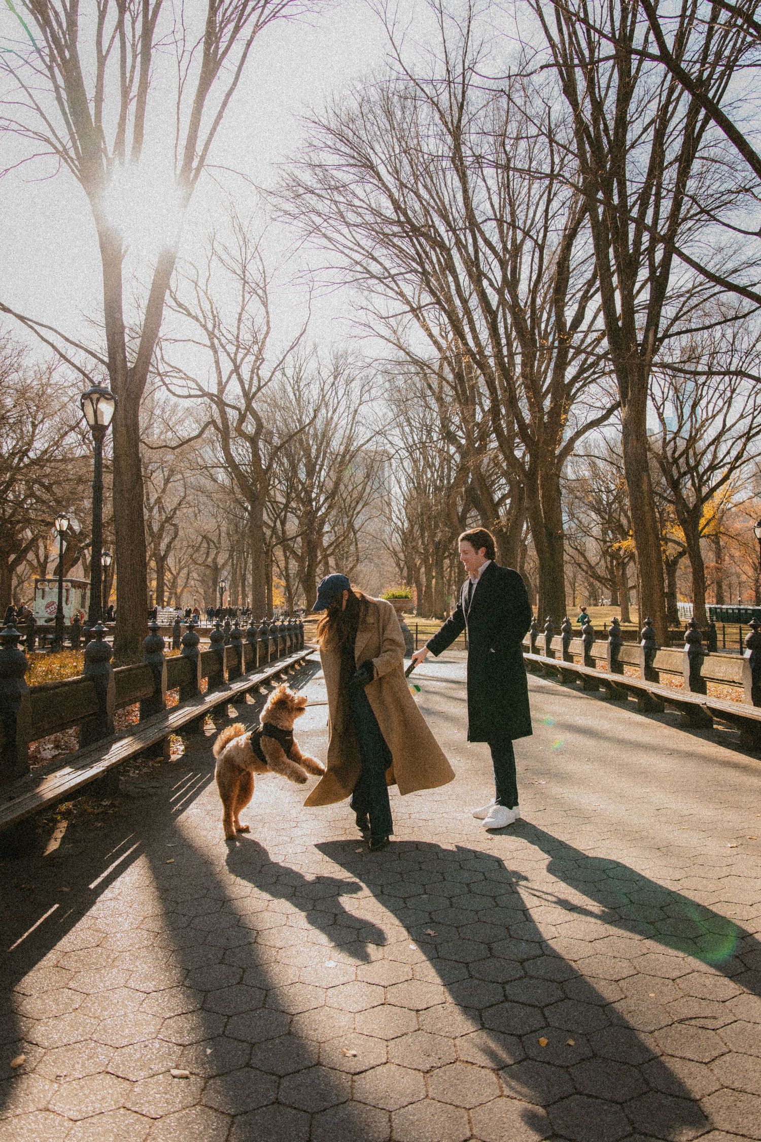 A romantic walkway scene with long shadows cast on brick pavement in a winter park path.